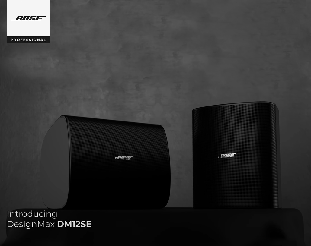 Speaker sound system Bose Professional DesignMax DM12SE